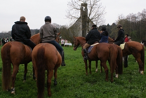 Zur Bildergalerie, bitte auf Bild klicken