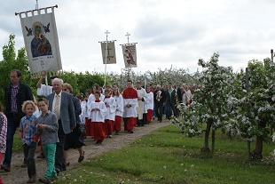 Zur Bildergalerie, bitte auf Bild klicken