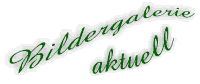 BildergalaktuellSchrift